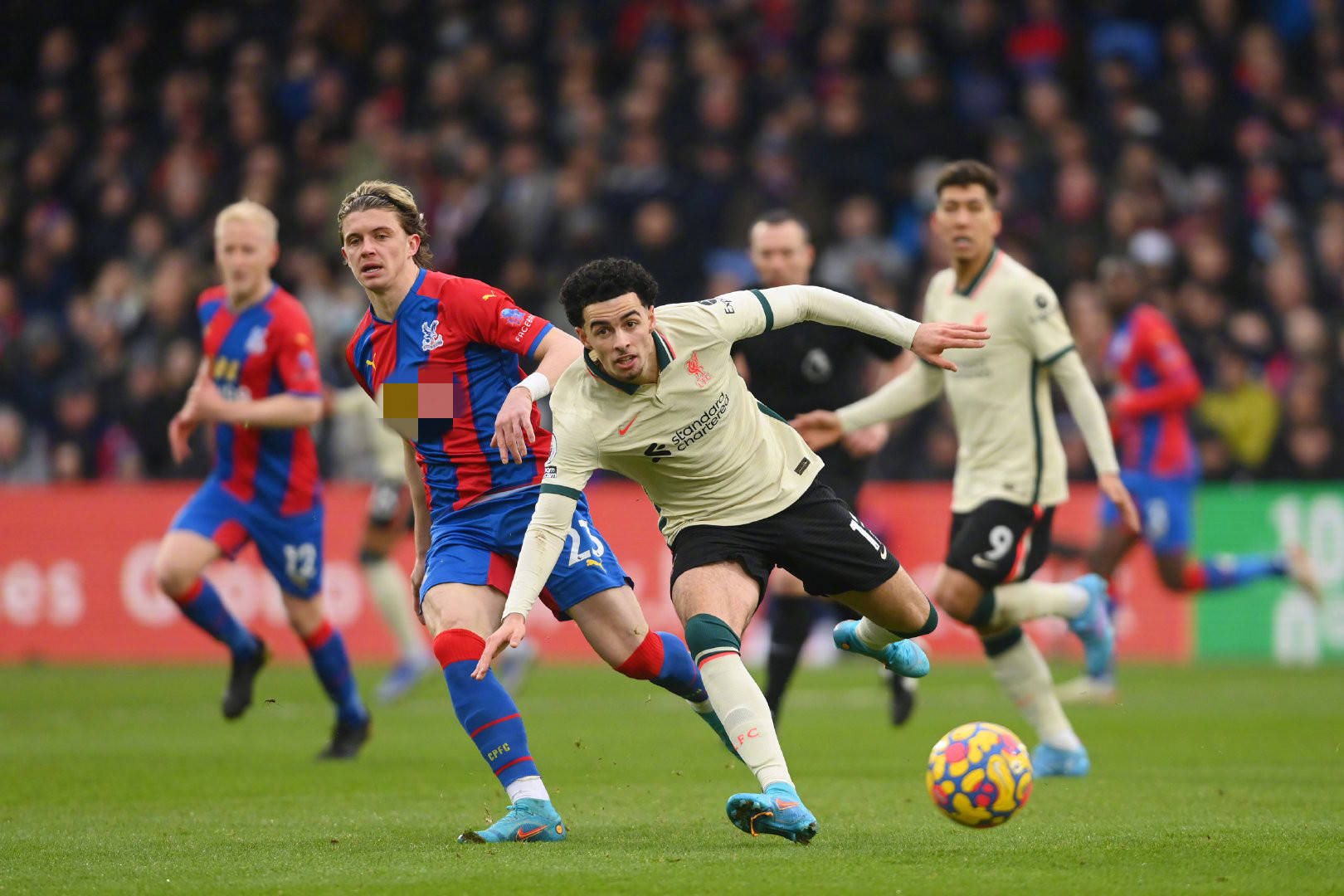 锐的观察找 锐的观察找